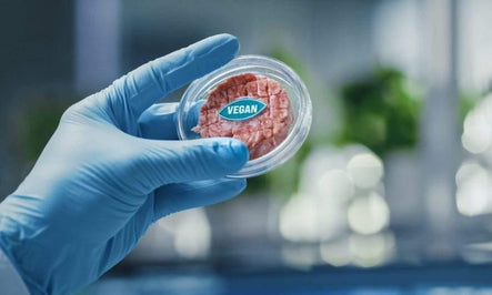 Motif FoodWorks Raises $113 Million Amid Rising Interest In Plant-Based Edible Alternatives