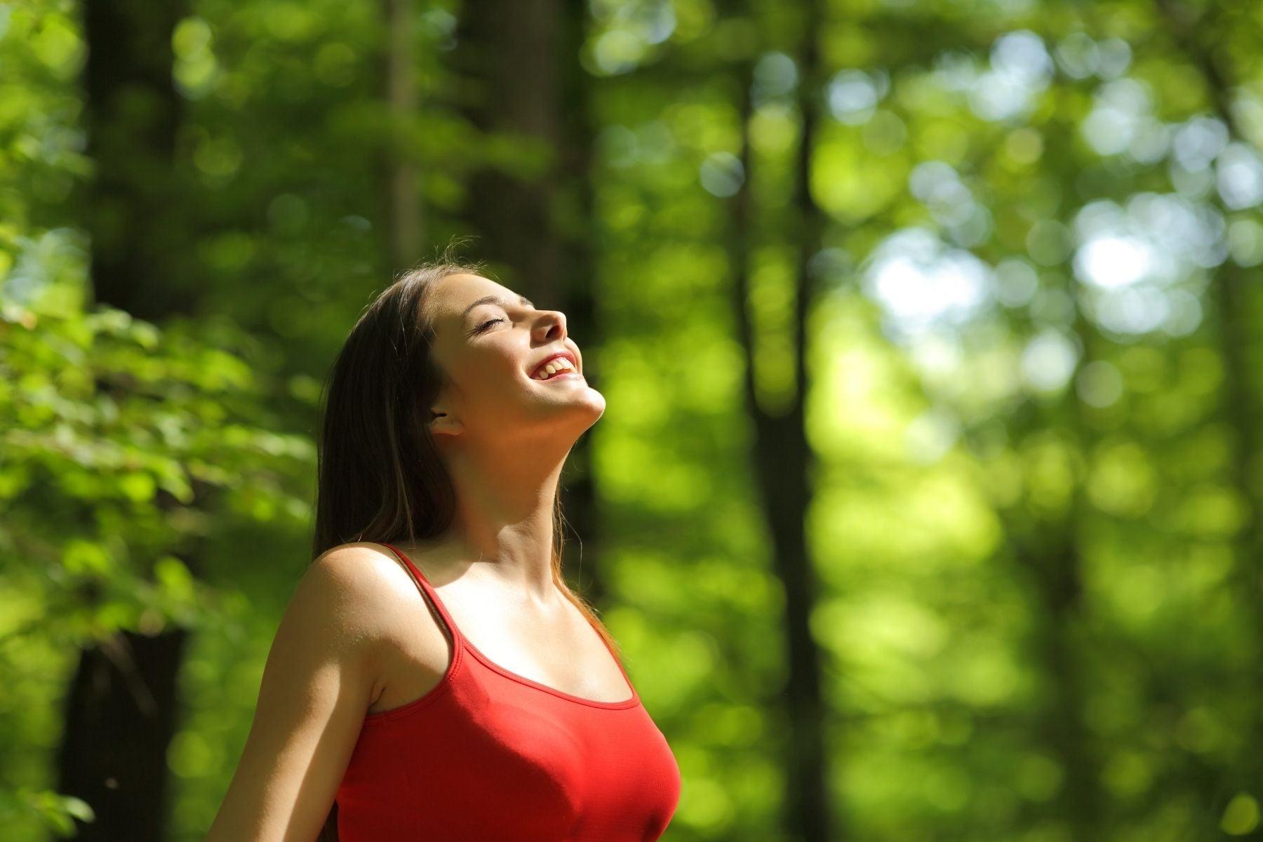 The Mysteries Of Air Purifying Plants Explained