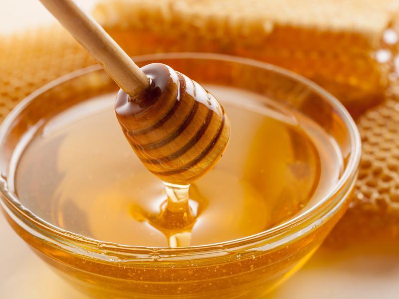 Is Honey Vegan? - Plan-txs