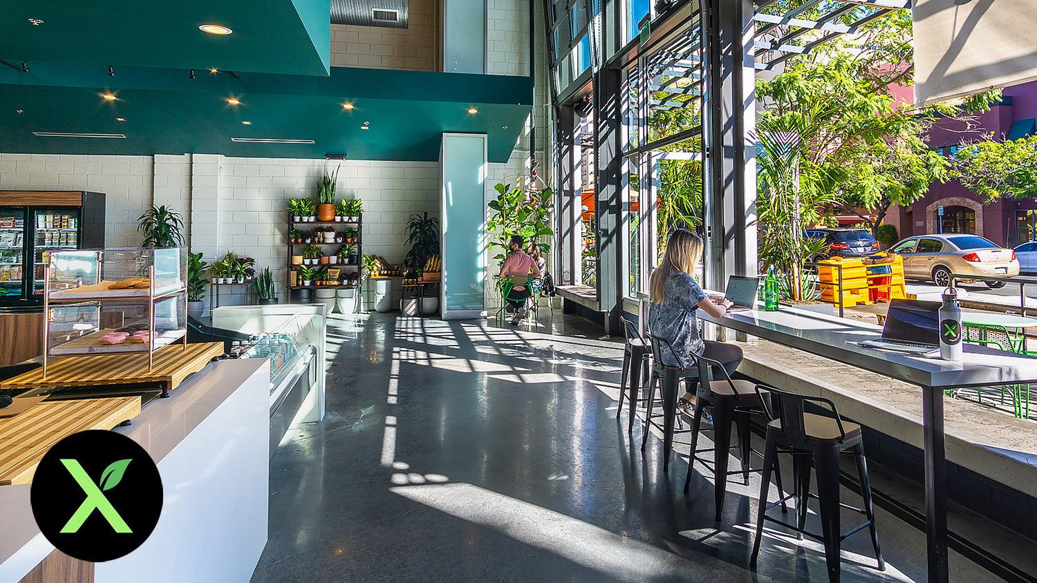 XMarket, the ‘Vegan Amazon,’ Opens a Grocery Store in San Diego - Plan-txs