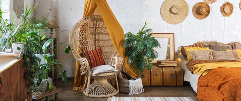 Interior Design Tips For a Plant Based Home: Desert Decor