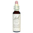 NELSON BACH - Flower Essence Pine - 0.7floz