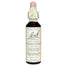 NELSON BACH - Flower Essence Scleranthus - 0.7floz