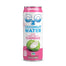 C20 - Coconut Water Ginger Lime Turmeric, 17.5 Fl Oz | Pack of 12