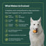 Wild Earth - Performance Formula Dog Food Veggie Chick’n Kabob | Multiple Sizes
