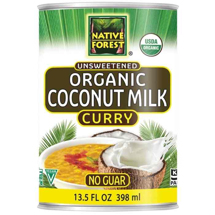 Native Forest - Organic Coconut Milk | Assorted Flavors - Plan-txs